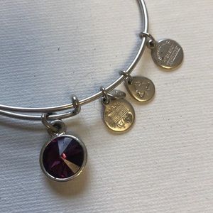 Purple Birthstone Alex and Ani Charm Bracelet